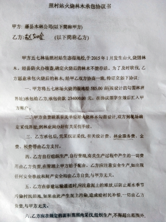 广西藤县木材公司负责人被曝“侵吞林木款”