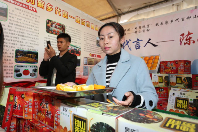 第二届广西·钟山贡柑文化节大型系列主题公益活动开幕