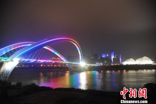 图为南宁大桥春节夜景 宋延康 摄