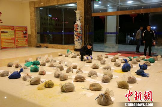 图为海关工作人员清点涉案穿山甲 王淑艳 摄