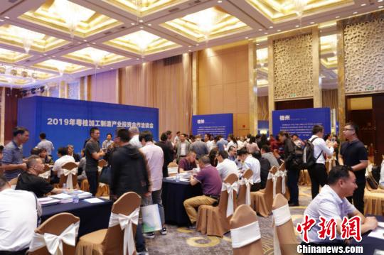 图为项目对接洽谈会现场 李有娇 摄 图为项目对接洽谈会现场 李有娇 摄