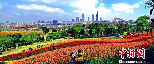 2019中国—东盟市长论坛将聚焦城市可持续发展