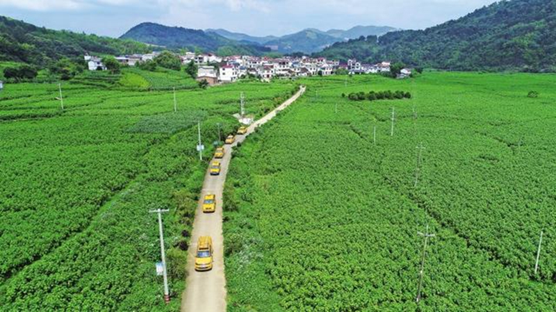 打通脱贫经脉 柳州市鹿寨县通屯路铺就康庄道 