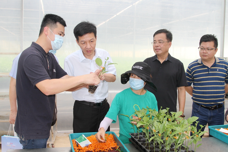 北海市委常委、统战部长杨斌调研南宁北海商会名誉会长企业