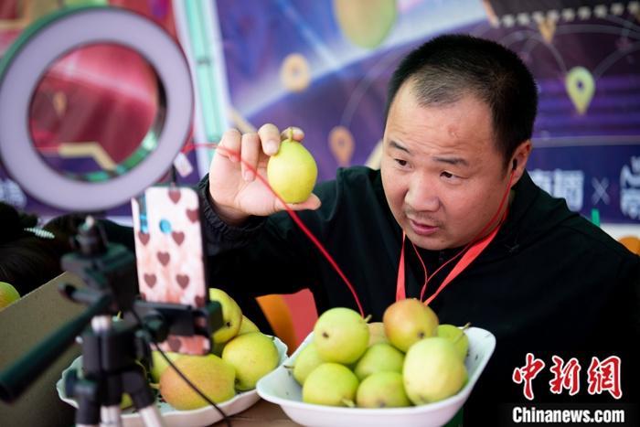 资料图:果农使用手机进行直播促销农产品。<a target= 资料图:果农使用手机进行直播促销农产品。<a target=
