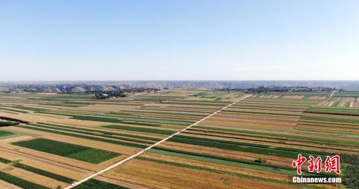 农业农村部:2021年确保粮食总产量保持在13000亿斤以上