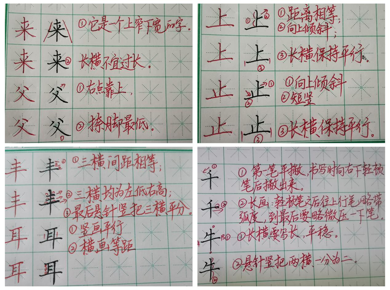 南宁市高新区师启教育书法班:停课不停学